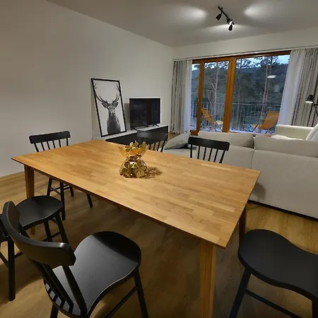 Apartment Element Lakeside Lipno nad Vltavou